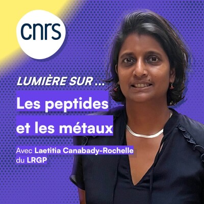 Lumière sur les peptides et les métaux cover
