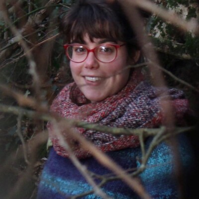 Les jeudis de la décroissance, Épisode #13 :  Les critiques à la décroissance : revue de presse cover