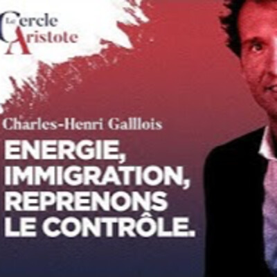 Energie, immigration reprendre le contrôle - C. H. Gallois - # politique cover