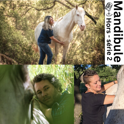 Aider ou Sauver avec Carole, Amandine et Christophe cover