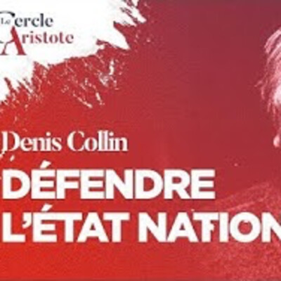 Défendre l'Etat-Nation - D. Collin - # politique cover