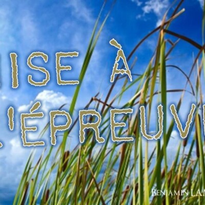 Mise à l’épreuve cover