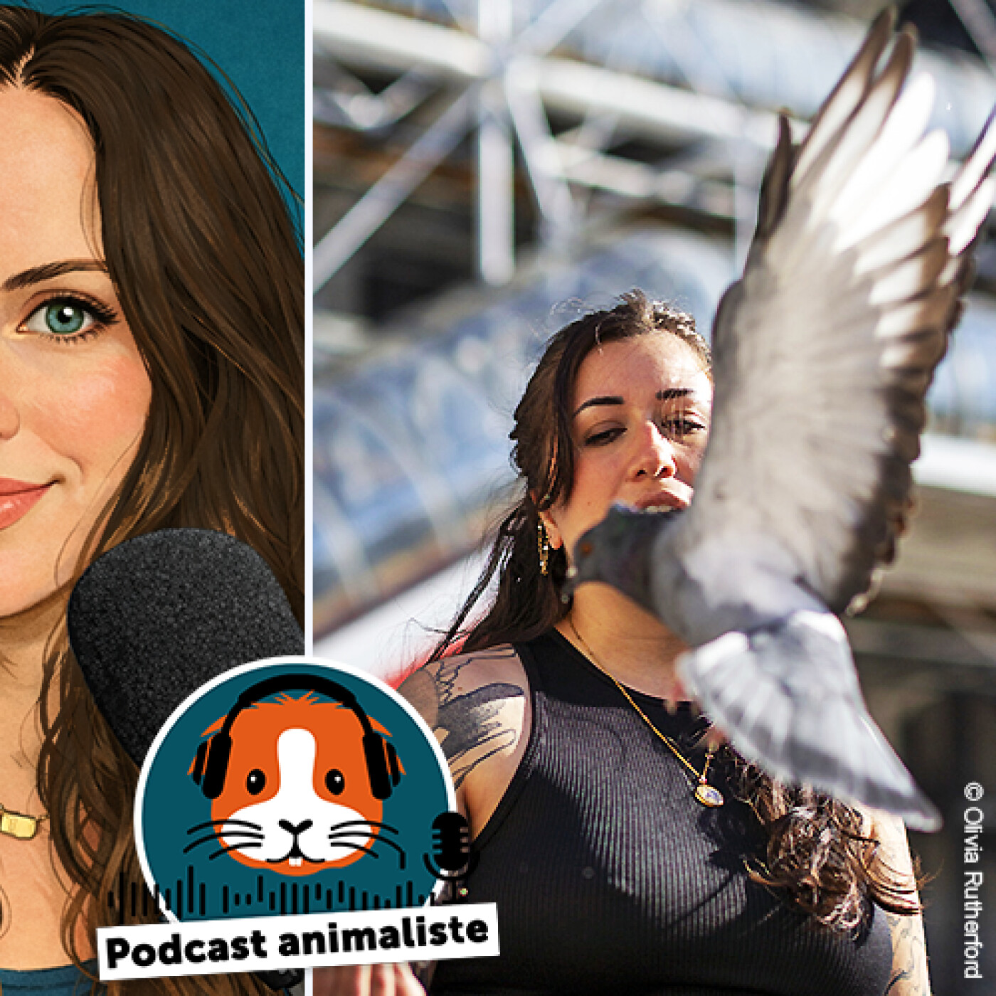 16. Céline, à la rescousse des pigeons episode artwork