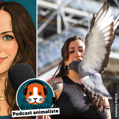 16. Céline, à la rescousse des pigeons cover