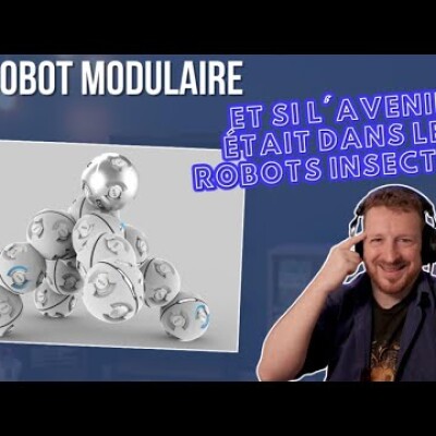 Un robot modulaire : Et si l'avenir était dans les robots insectes ? cover