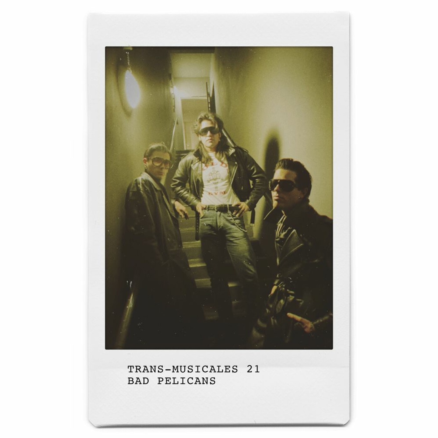 Bad Pelicans en interview | Trans-Musicales x Campus