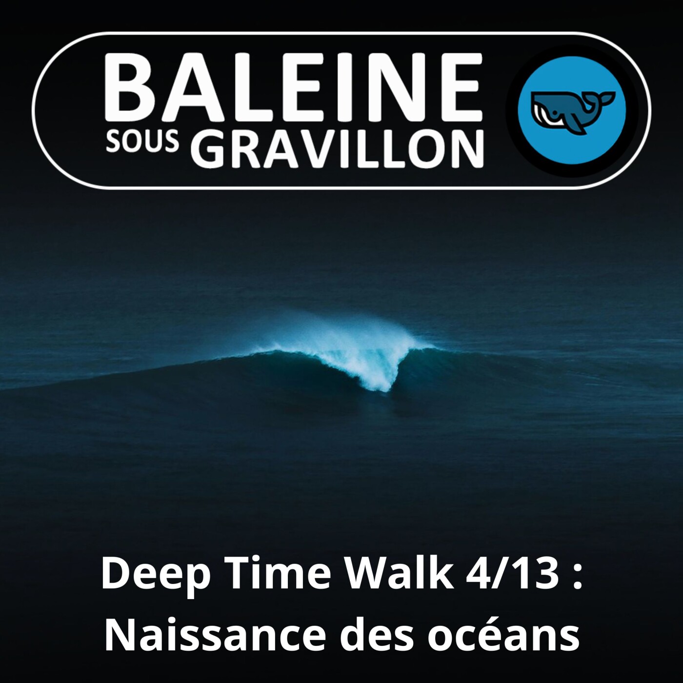 Baleine sous Gravillon