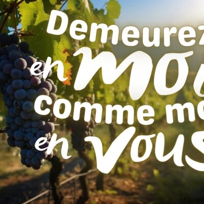 Parole et Évangile du jour | Dimanche 28 avril • Les sarments de la vigne cover