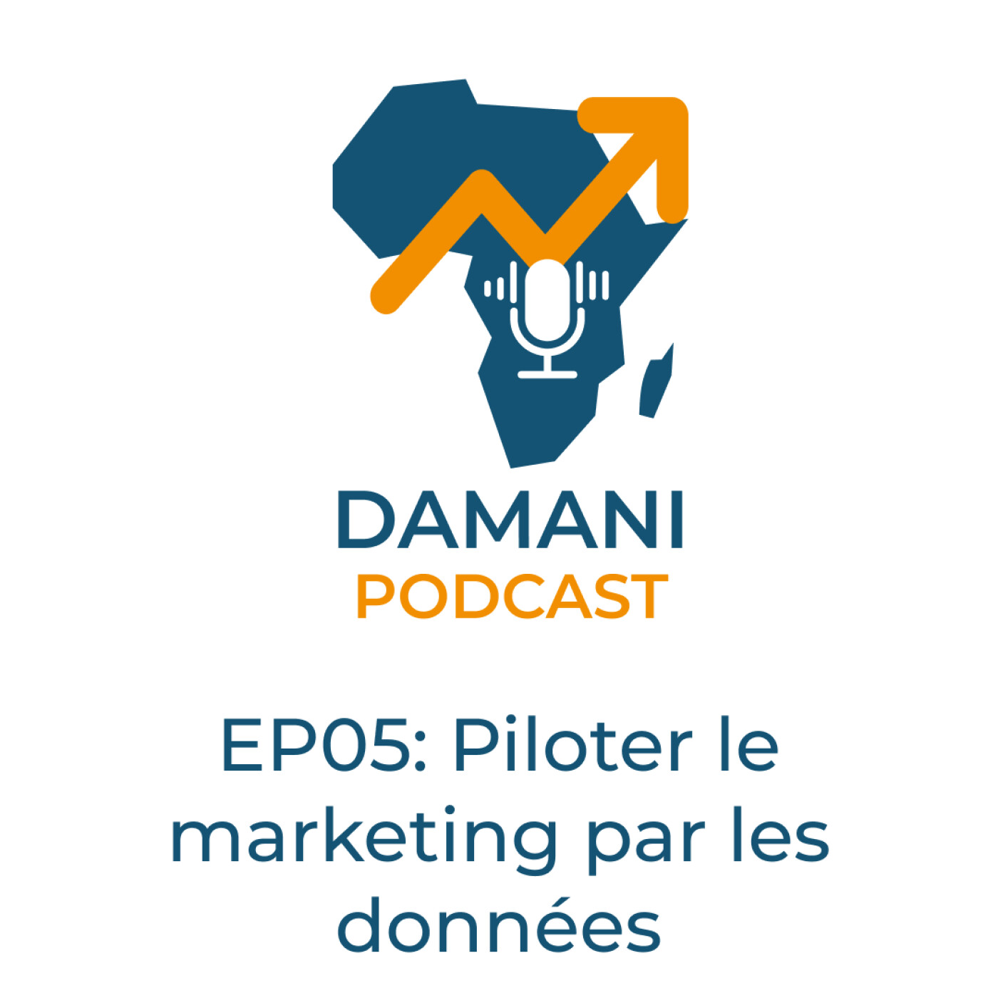Piloter le marketing par les données Piloter le marketing par les données