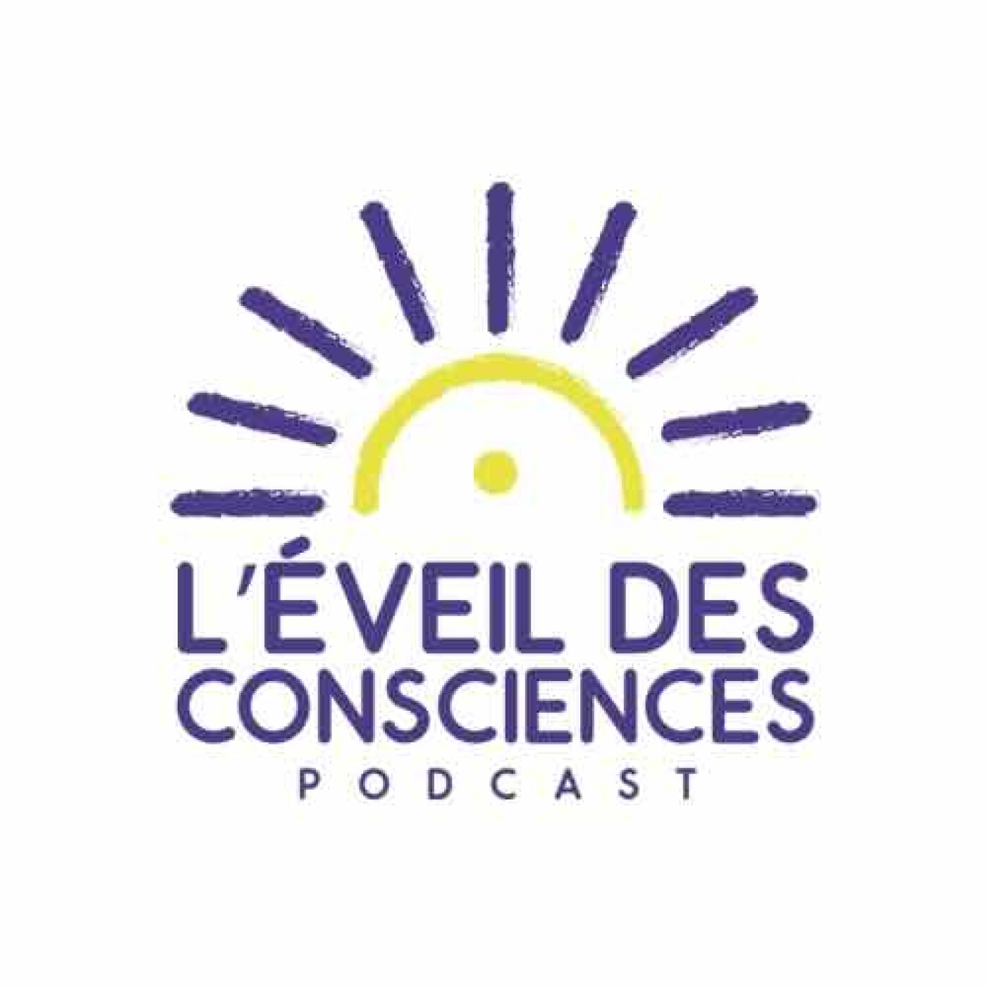 Épisode solo - Est-ce que la langue structure la pensée?