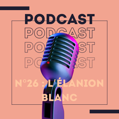 🎧 "L'Élanion Blanc : Le Secret du Vol Stationnaire" est disponible ! cover