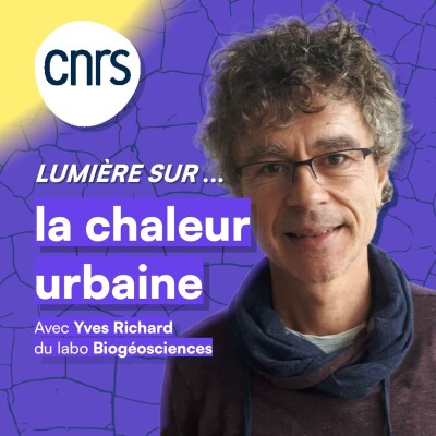 Lumière sur... La chaleur urbaine cover