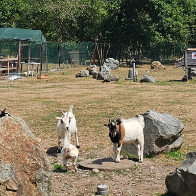 FL explique le tournoi du Grand Slammerstein cover