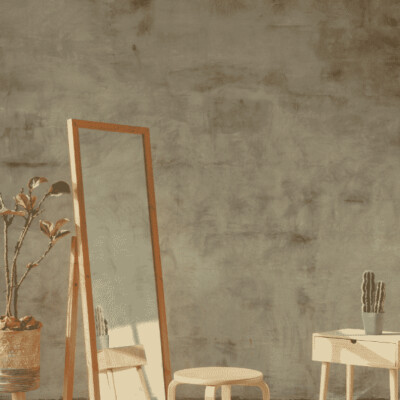 Pourquoi ne pas utiliser la chaux pour refaire votre intérieur ? cover