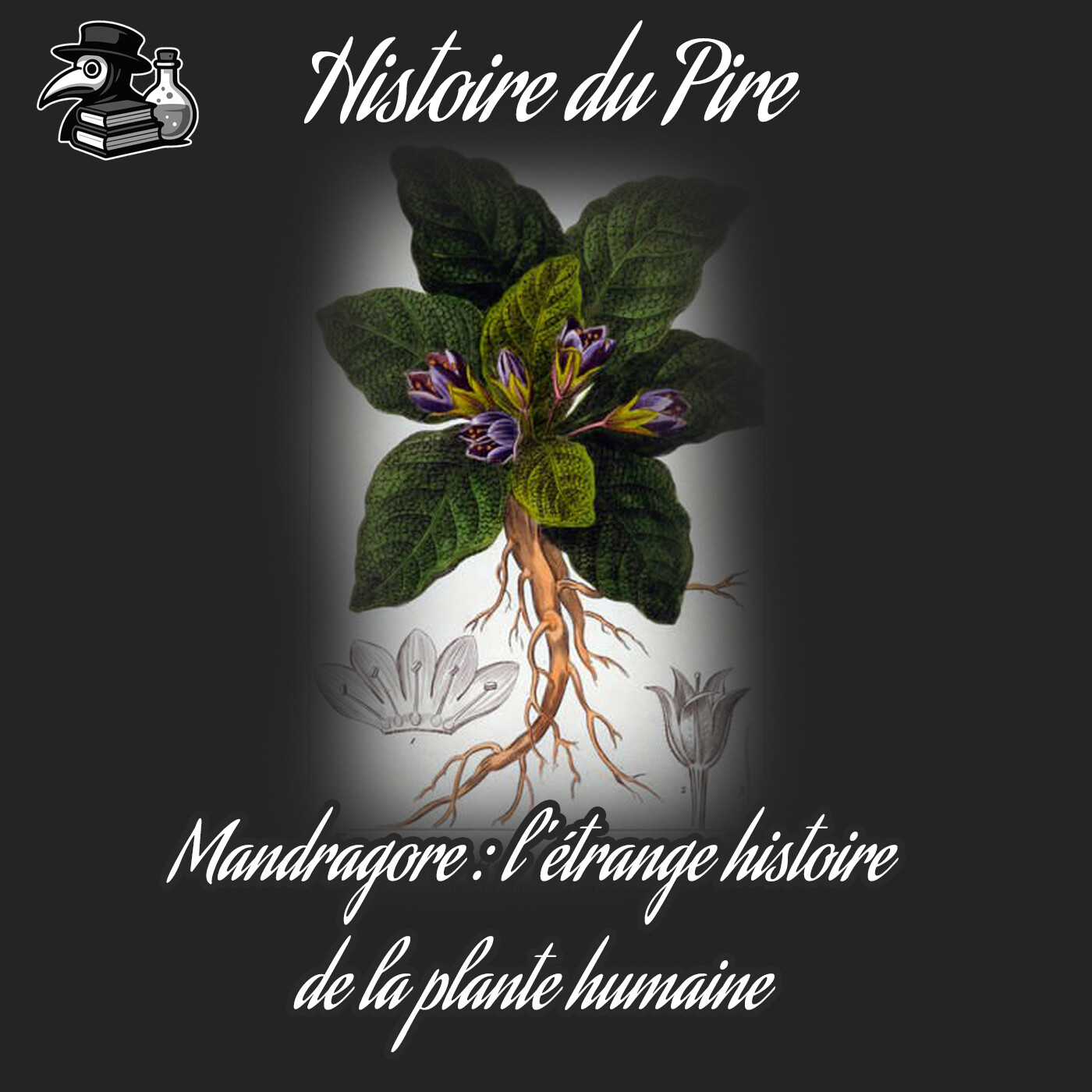 Histoire du Pire