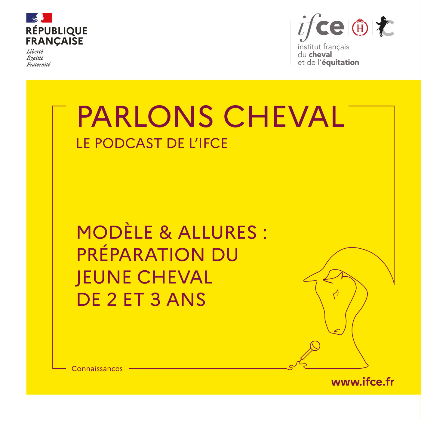 Ép. 95 | Préparation du jeune cheval de 2 et 3 ans au concours modèle & allures – Patrick Pratlong