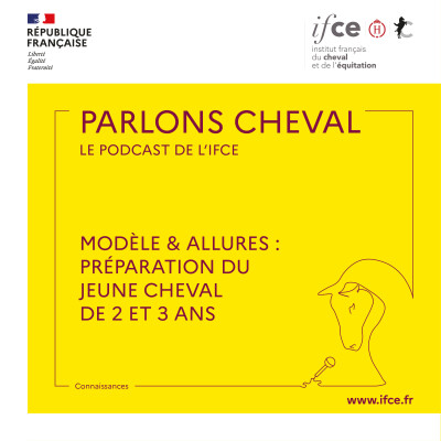 Ép. 95 | Préparation du jeune cheval de 2 et 3 ans au concours modèle & allures - Patrick Pratlong cover