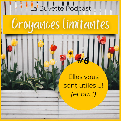 #6 Nos Croyances Limitantes cover