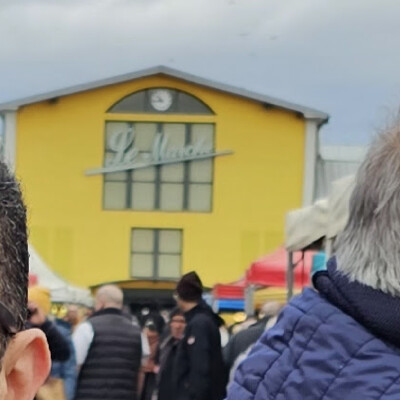 Que pensent les mulhousien-nes des élections municipales ? cover