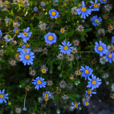 Routine anti-Stress : auto-massage et respiration cover