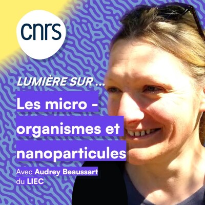 Lumière sur... Les microorganismes et nanoparticules cover