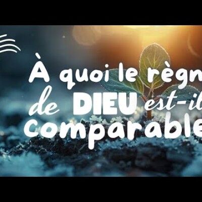 Parole et Évangile du jour | Mardi 29 octobre • Une graine de moutarde cover