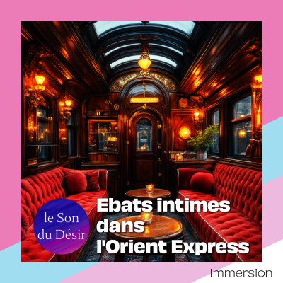 Voyage érotique : Ebats intimes dans l'orient express cover