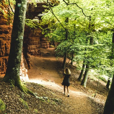 Grand-Est : escapade découverte ! cover