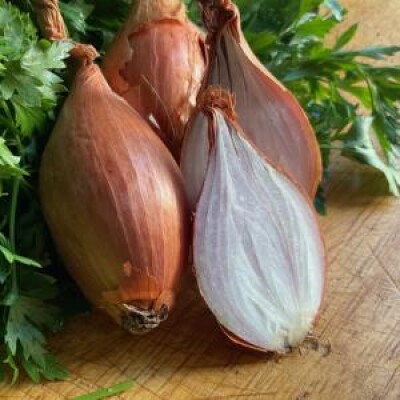 仿¥ã¯èµ€ã¯ã€ã³ã䜿ã£ããœãŒã¹ããããããŒãã§ããä»ãŸã§ã®ãã©ã³ã¹æçã¯ãœãŒã¹ãäœãããã®,æçæ³ã ãšèšã£ãŠã,éèšã§ã¯ãããŸããã ãšã·ã£ãããã¯ãã®äž»åœ¹ã§ããããè圹ã§ããããŸãããããŠãœãŒã¹ã¯ãæçãçŸå³ããããŠãããååšã§ãã cover