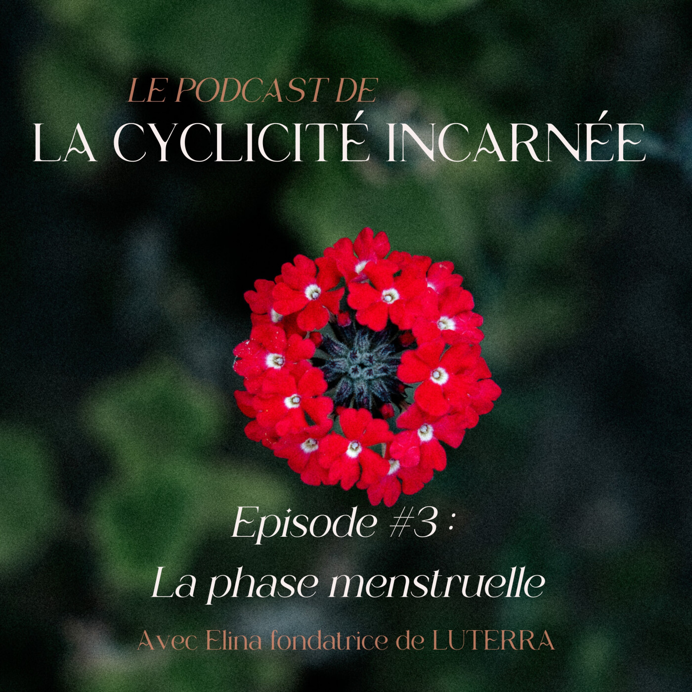 Cyclicité Incarnée