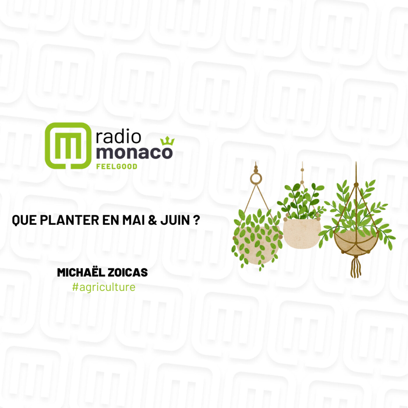 Que planter en mai/juin ? Les astuces de Michaël Zoicas, meilleur apprenti de France production horticole episode artwork