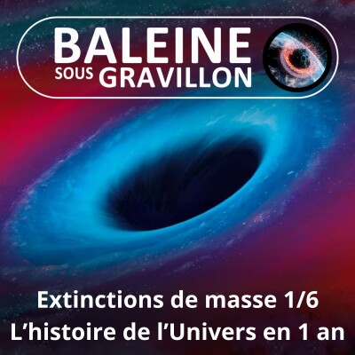 S03E14 Grandes extinctions de masse 1/6 : L'histoire de l'Univers ramenée à une année (Sylvie Crasquin) cover