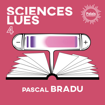 Sciences lues - Pascal Bradu – L’univers des plasmas (S3E4) cover