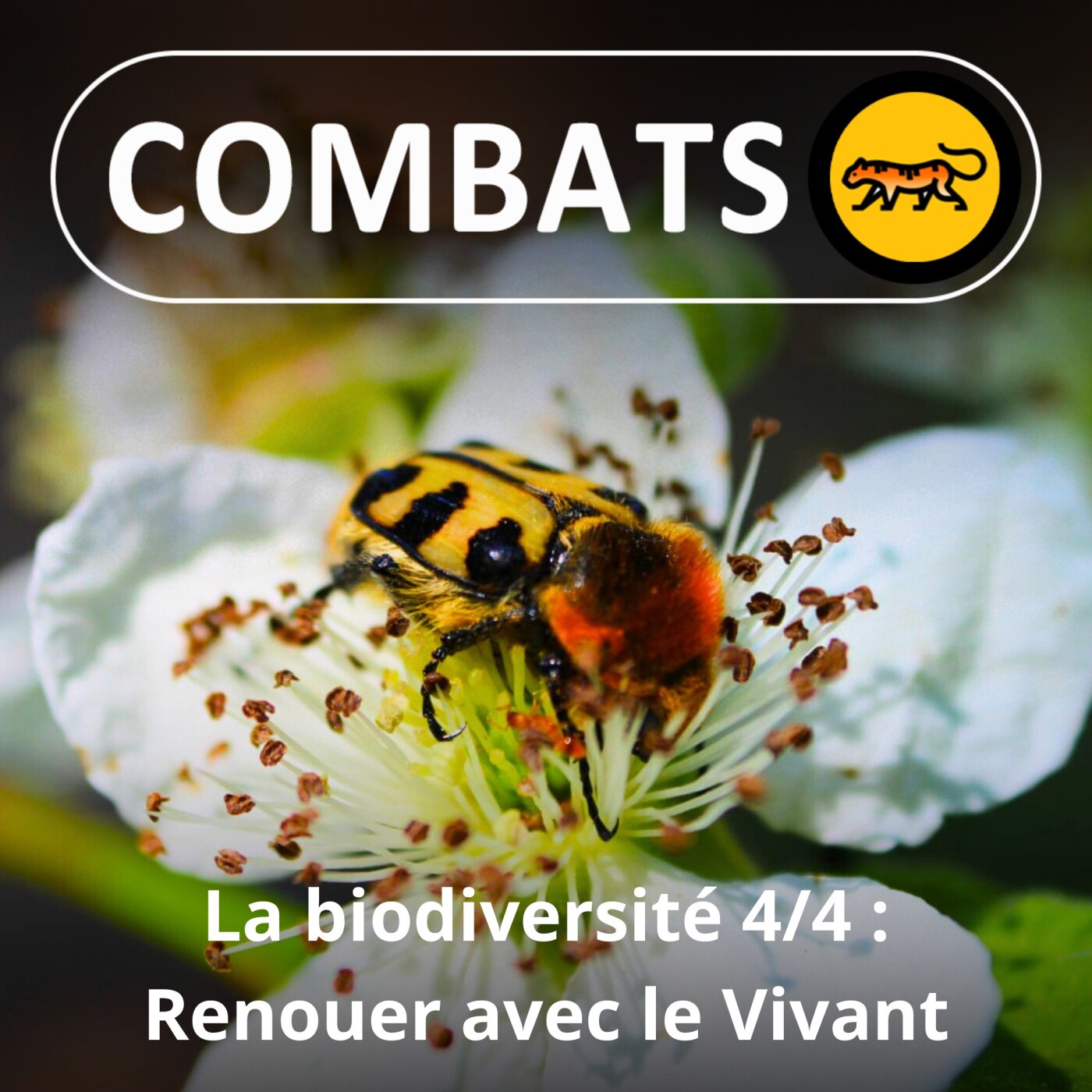 S03E36 La biodiversité 4/4 : Renouer avec le Vivant (Hugues Mouret, entomologiste)
