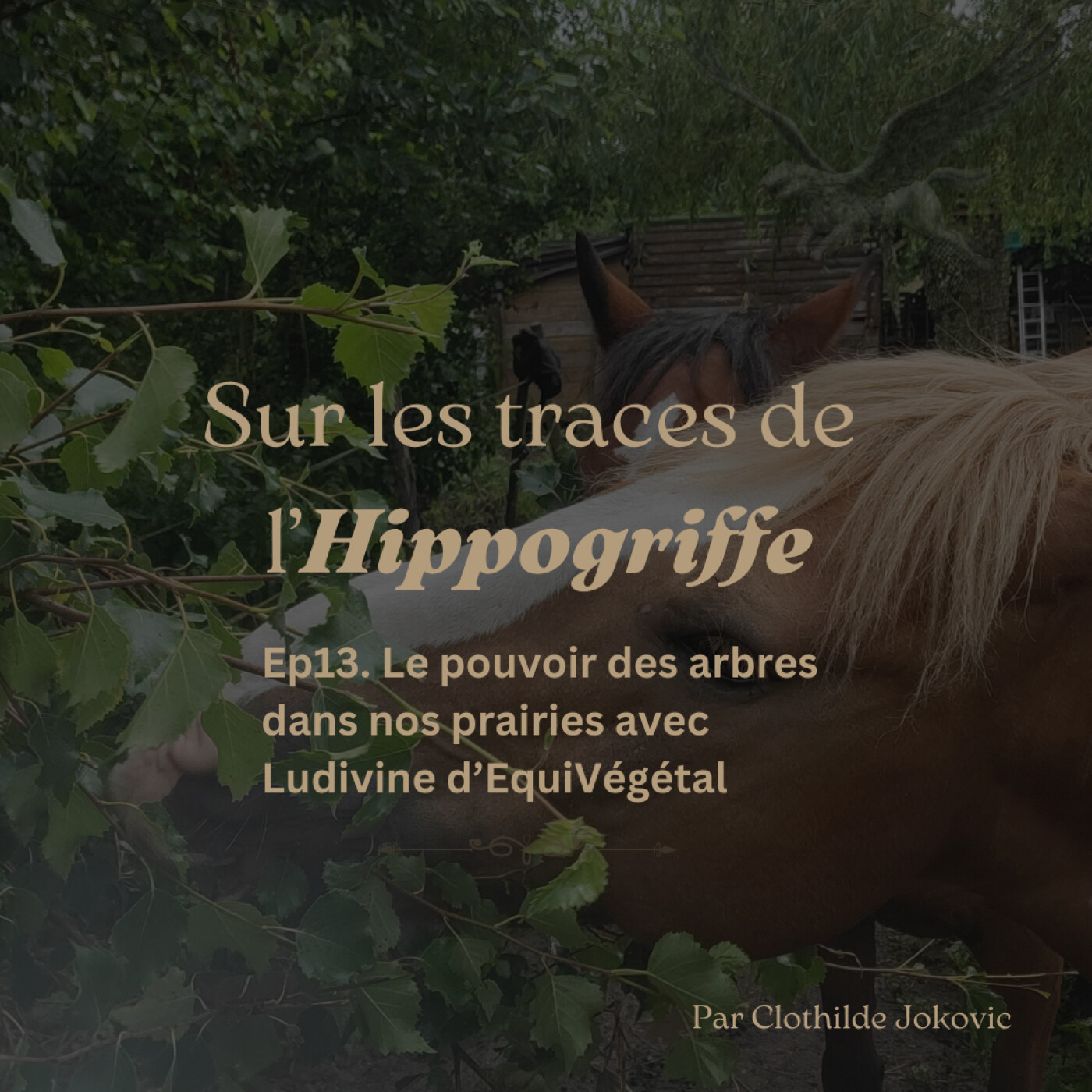 Sur les traces de l\'Hippogriffe