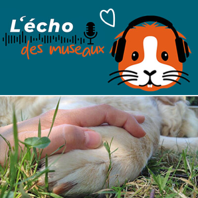 9. La médiation animale, au coeur du lien humain-animal cover