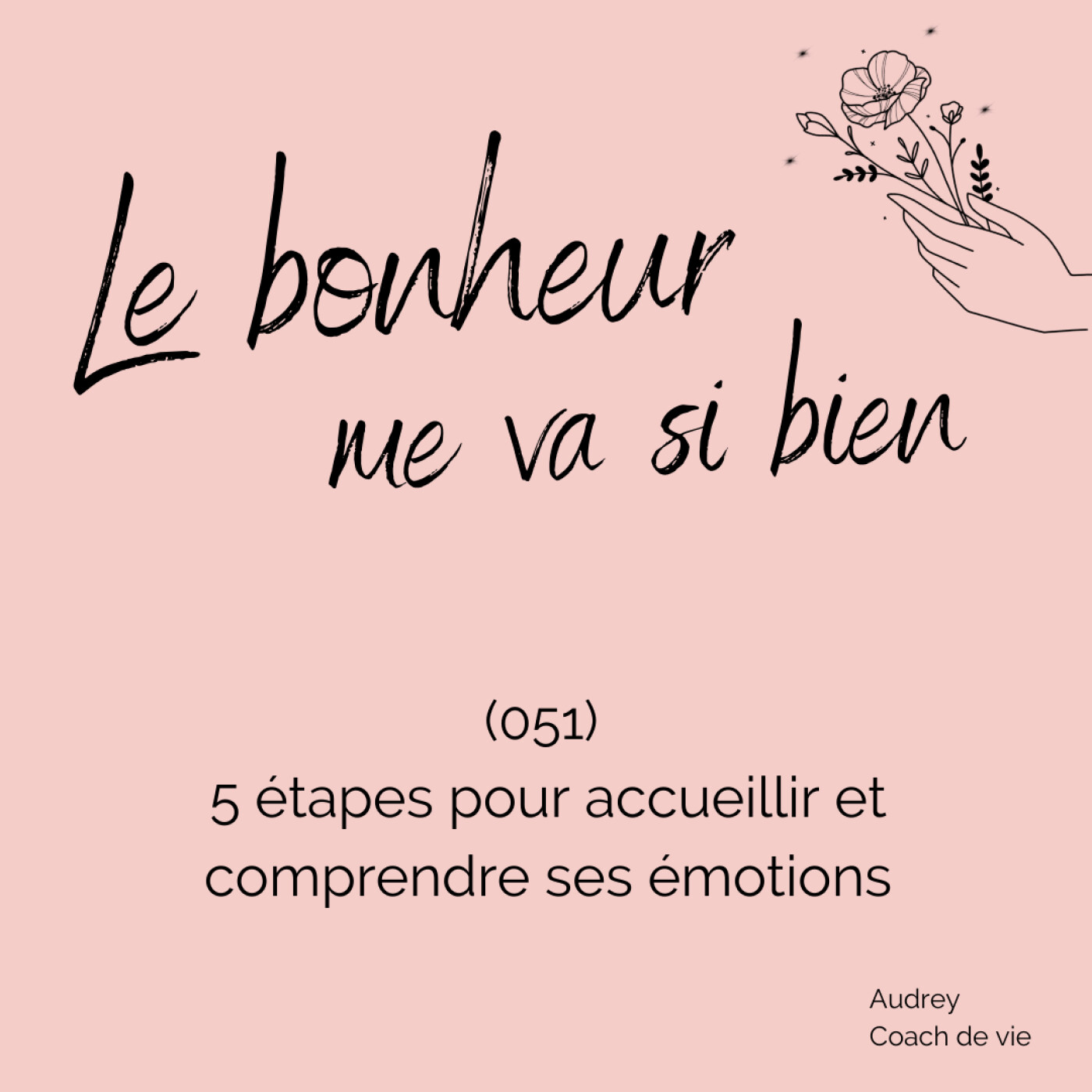 (051) 5 étapes pour faire la paix avec ses émotions episode artwork