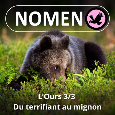 S01E46 L'Ours 3/3 : Du Grizzly au Panda, du terrifiant au mignon cover