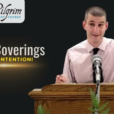 Head Coverings and Contention: We Have NO Such Custom - 1 Corinthians 11:16 cover