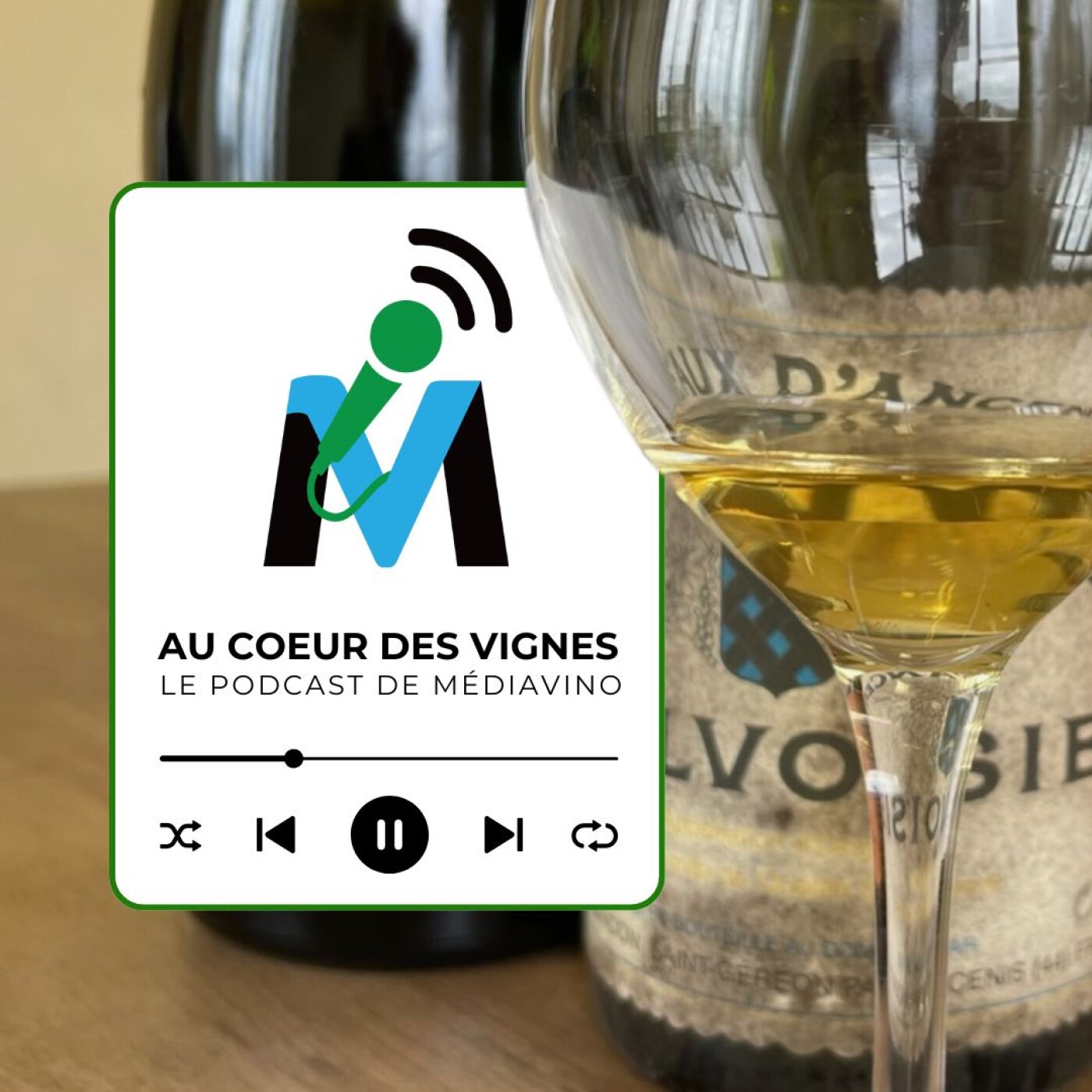 Coteaux d'Ancenis I Pierre Guindon et Benoit Landron, des Malvoisies en quête de grandeur (extrait)