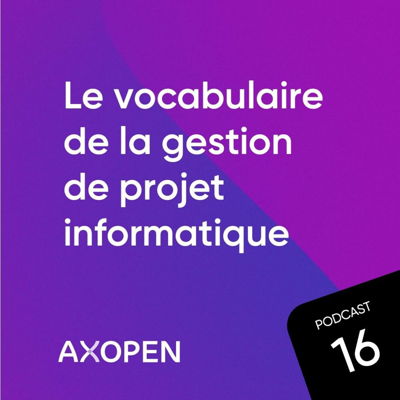 Vocabulaire - Gestion De Projet Informatique