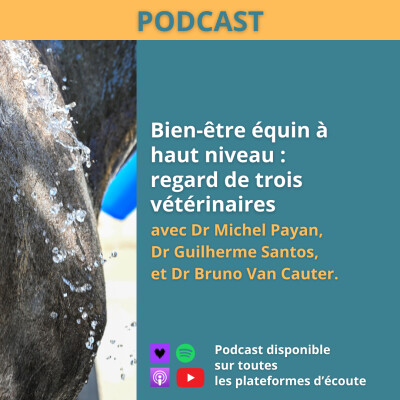Bien-être équin à haut niveau : regard de trois vétérinaires - Avec Dr Michel Payan, Dr Guilherme Santos & Dr Bruno Van Cauter cover