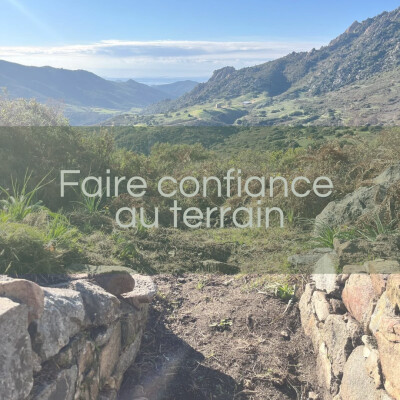 Faire confiance au terrain cover