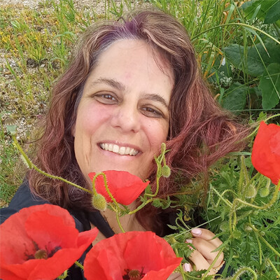 VIP - Florence Rossé : Et si on prenait le chemin de l'Eole cover