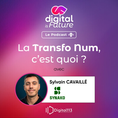 #3. Comment simplifier le traitement des commandes grâce à l'intelligence artificielle ? – Sylvain Cavaillé cover