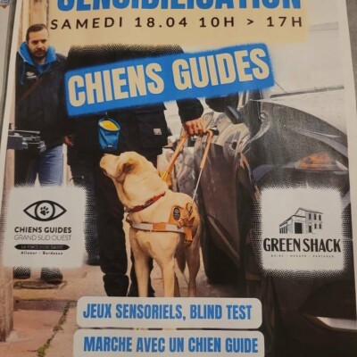 Ondes choc  : invité l'association des Chiens Guides du Grand Sud Ouest Bordeaux Aliénor cover