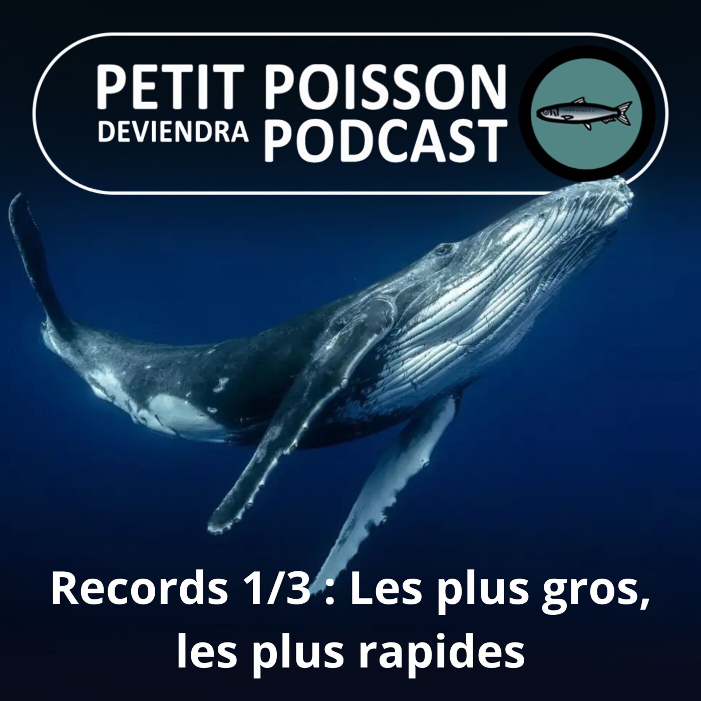 Petit Poisson deviendra Podcast