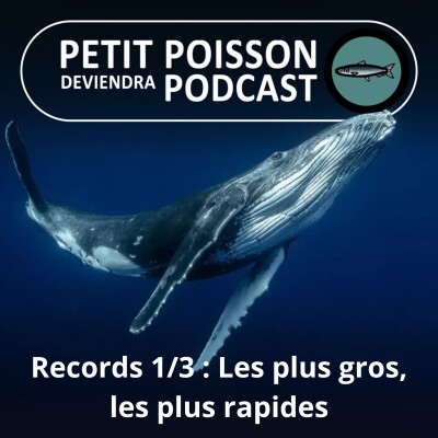 S01E05 Records 1/3 : Les plus gros, les plus rapides... cover