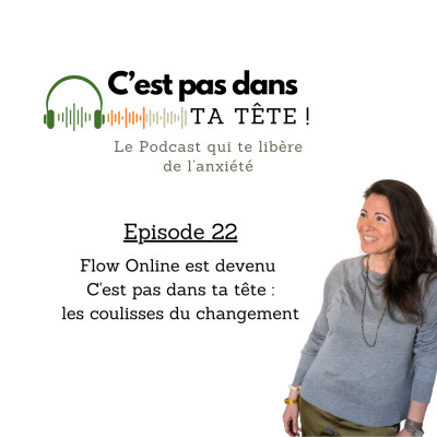 #22 - Flow Online est devenu C'est pas dans ta tête : les coulisses du changement cover