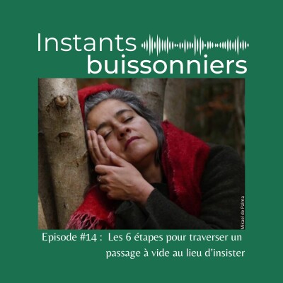 Episode 14 : Les 6 étapes pour traverser un passage à vide au lieu d'insister cover